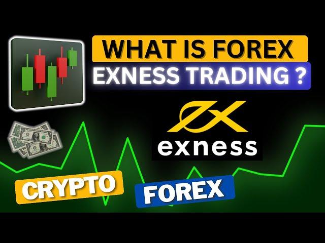  What is Forex Exness Trading Platform?  Complete Website Walkthrough! 