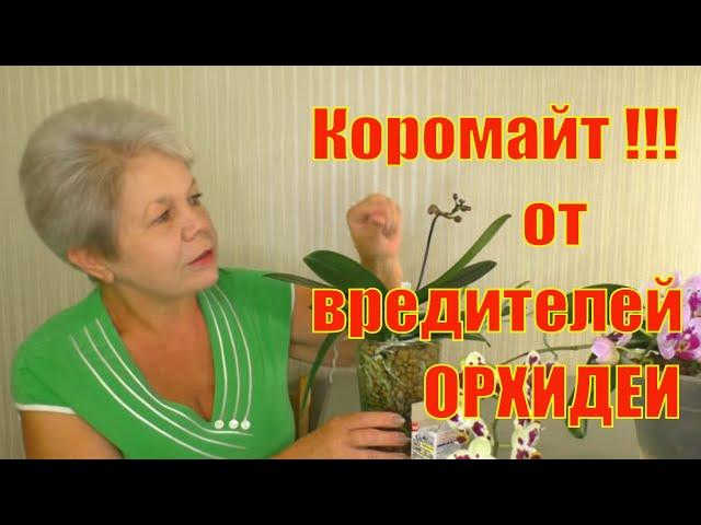 КАК ИЗБАВИТЬСЯ от КЛЕЩА и других ВРЕДИТЕЛЕЙ Орхидеи!!! КОРОМАЙТ - ЯПОНСКИЙ ПРЕПАРАТ для ОБРАБОТКИ