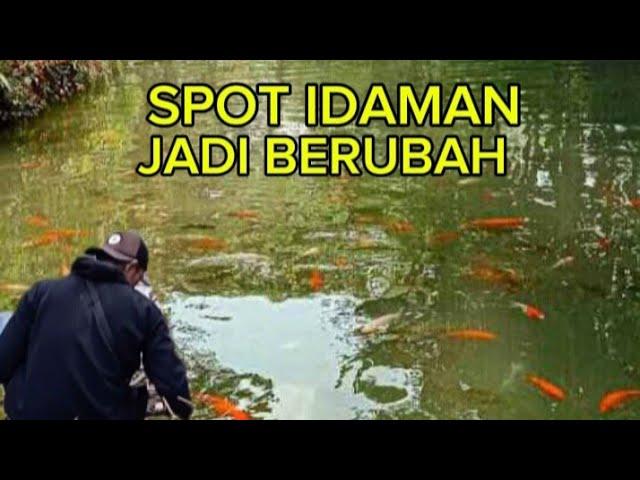  Mancing Ikan Di Spot Idaman Jadi Berubah‼️