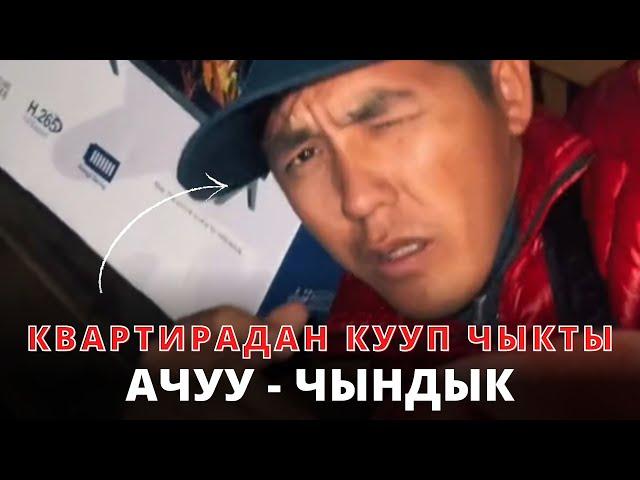 Квартирадан кууп чыгыптыр • Күлкүлүү бирок ачуу чындык