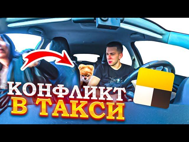 КОНФЛИКТ В ТАКСИ! ПЕРЕВОЗКА ЖИВОТНОГО