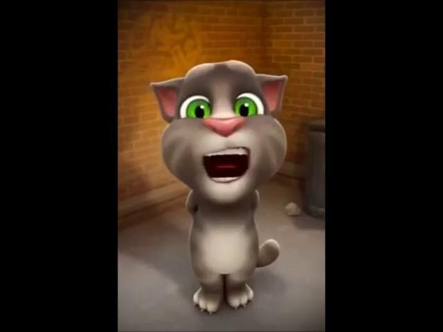 talking tom farting cat