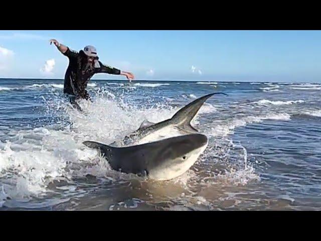 CRAZY FISHING SKILLS Biggest Baddest Shark Fishing PINS