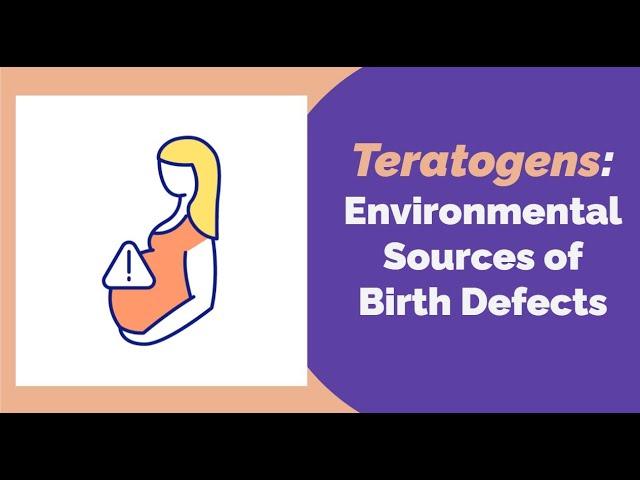 Teratogens During Pregnancy