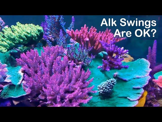 Alkalinity Swings are OK? Rappin' With ReefBum Sound Bite