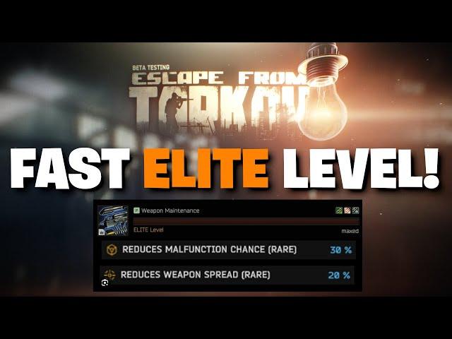 Escape From Tarkov PVE - How To MAX OUT Your Weapon Maintenance Skill QUICKLY! Fast Elite Level!