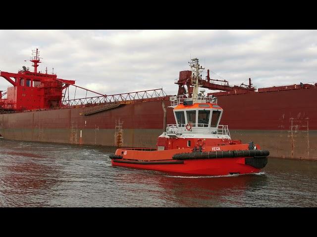 YEOMAN BRIDGE - RED GIANT bulk carrier, 250m vessel enters the port of Gdansk, Poland April 2021