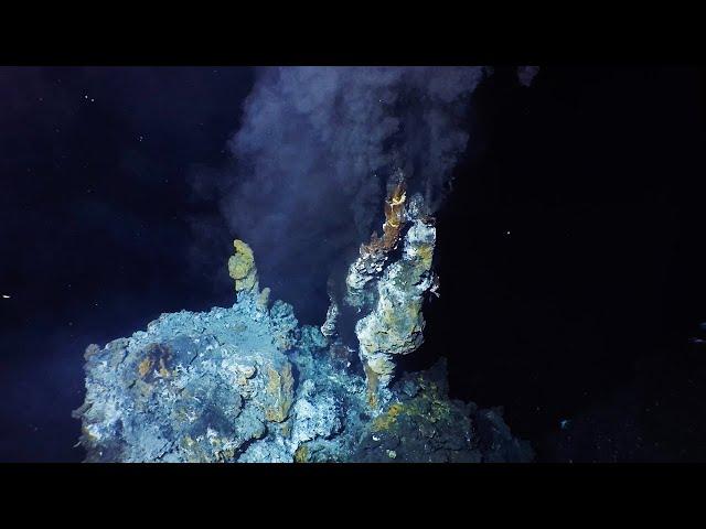 What are hydrothermal vents?