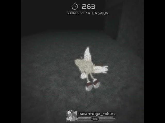 roblox-sonic exe ;)