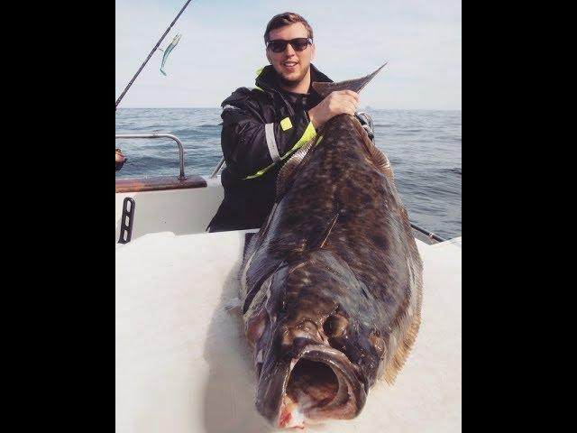 Ловля палтуса в Норвегии. Эффективный способ! 20 палтусов за 5 дней! Halibut fishing.