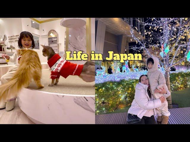 Daily Life Living in Japan | Visiting a cat cafe & spending the Holiday in Nagoya | Cat Cafe Mocha 