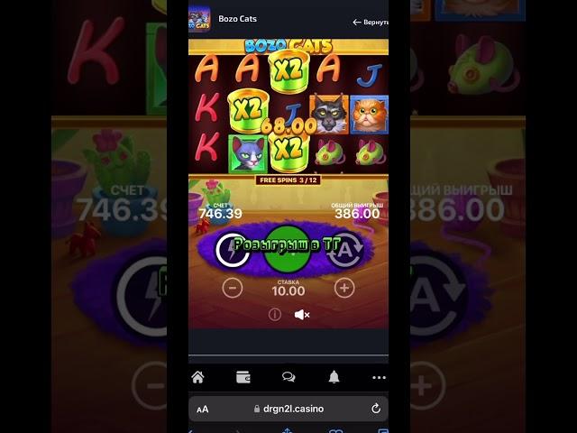 ЗАНОС НА 500Х В BOZO CATS #dragonmoney #заносынедели #казино #doghouse