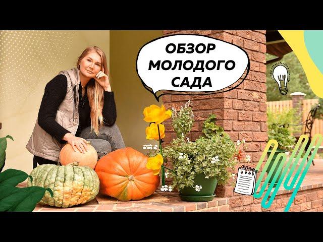 Обзор молодого сада | Ландшафтный дизайн 20 соток | Плодовый сад | Цветники непрерывного цветения