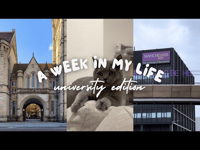 A Week in My Life  computer science @ The University of Manchester 