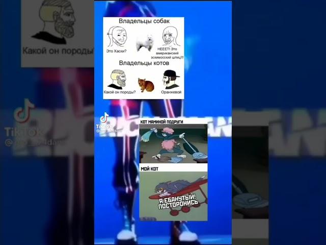 мемы