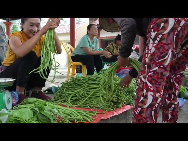 Harvesting long beans to sell at traditional markets