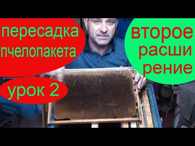 Расширение пчелопакета весной до корпуса. ОБУЧАЮЩИЙ УРОК № 2. Пчеловодство для начинающих