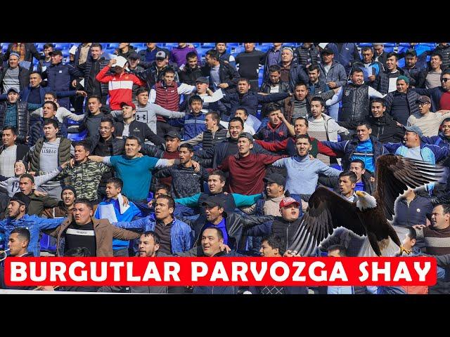 BURGUTLAR PARVOZGA SHAY !!!