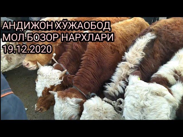 АНДИЖОН ХЎЖАОБОД МОЛ БОЗОР НАРХЛАРИ 19.12.2020