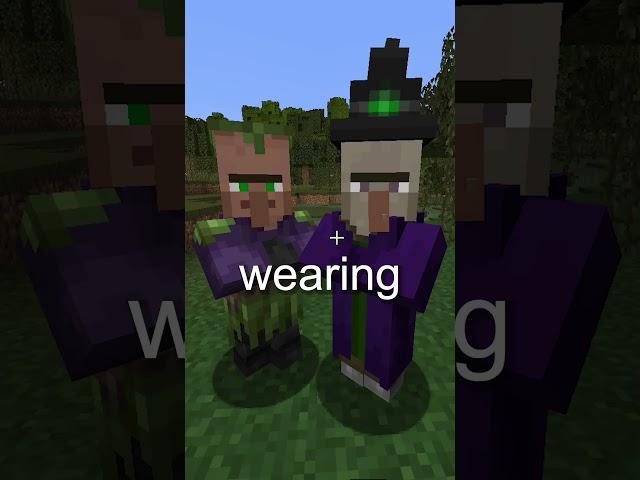 What Is The Swamp Villager In Minecraft?