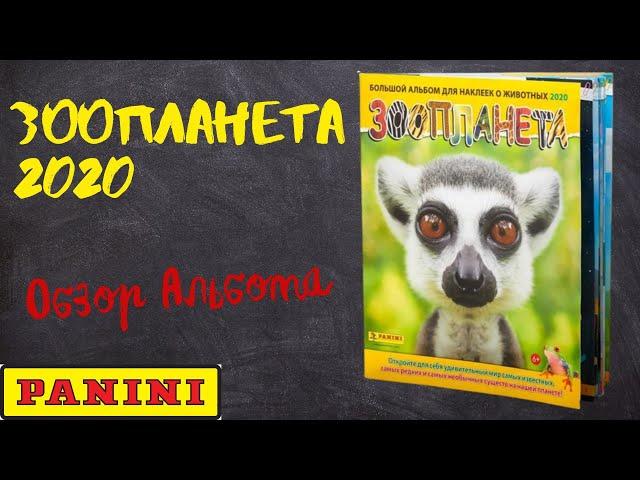 PANINI Зоопланета 2020. Обзор альбома для наклеек