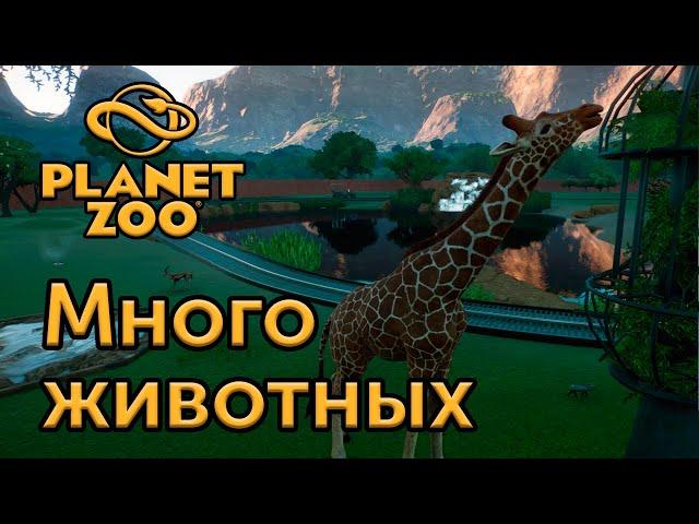 [7] Запускаем животных в сафари - Planet Zoo | Прохождение на русском