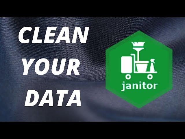 R package reviews | janitor | clean your data!