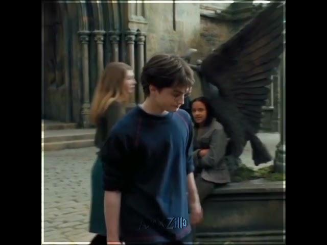  Harry James Potter 