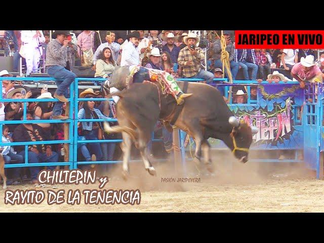  RANCHO EL GUAMUCHIL en Vivo desde Santiago Undameo Michoacán 2 Octubre 2024 | Jaripeo Completo