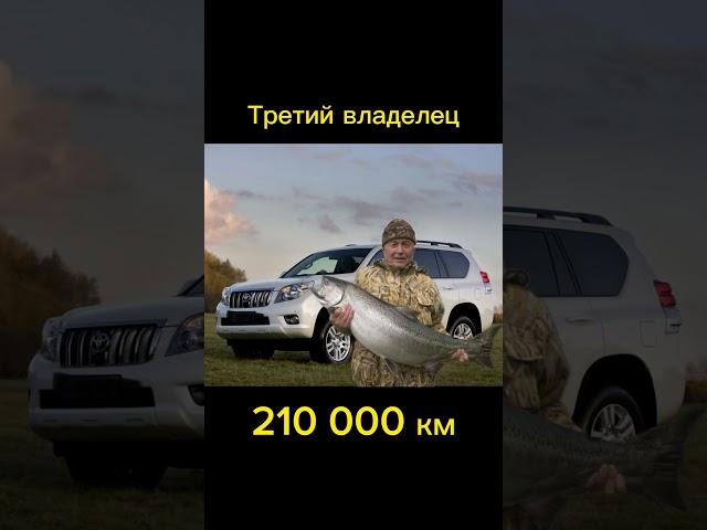 Прадо в 2024 году стыдно? #cars #подборавтомобилей #мем