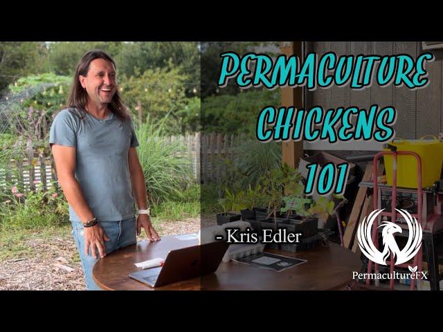 Permaculture Chickens Discussion & Class For Beginners