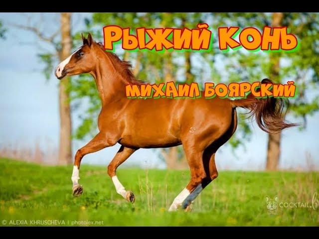 Рыжий конь-Михаил Боярский