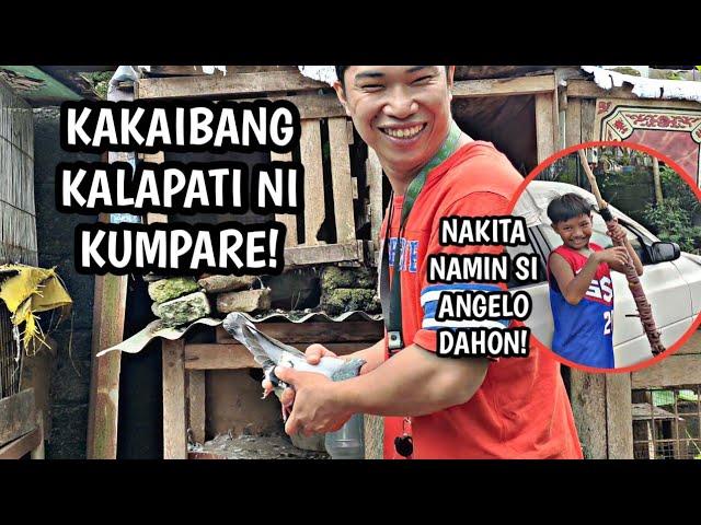 KUMPARE MAY KAKAIBANG KALAPATI