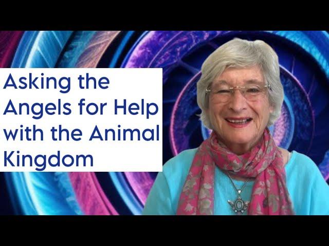 Asking the Angels for Help with the Animal Kingdom