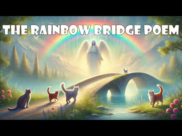 The Rainbow Bridge: A Heartfelt Story of Love for Cats