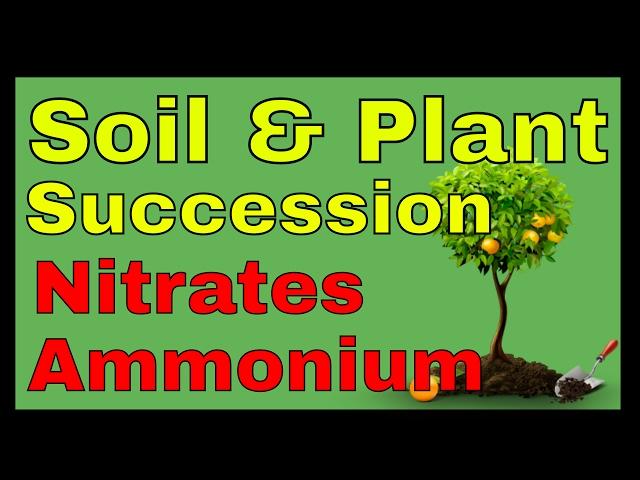 Soil food web microbial community in soil, soil microorganisms and succession, nitrates and ammonium