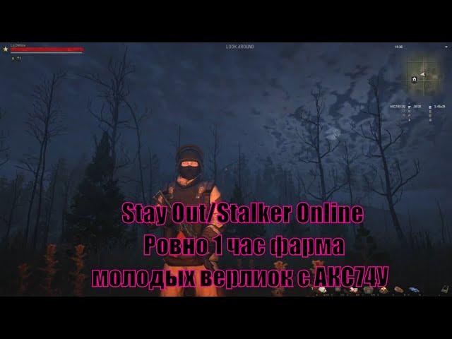 Stay Out/Stalker Online Ровно 1 час Фарма молодых верлиок с АКС74У