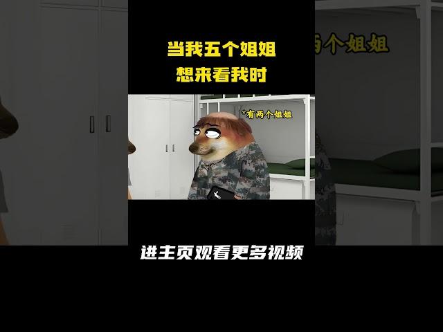 当我五个姐姐想来看我时 #cheems #军旅