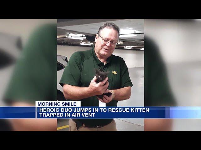 Morning Smile: Heroic duo jumps in to rescue kitten trapped in air vent