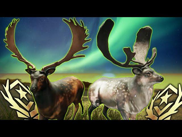 THE NEW GREAT ONE FALLOW DEER!!!! All Fur Types & Racks Revealed! Call of the wild