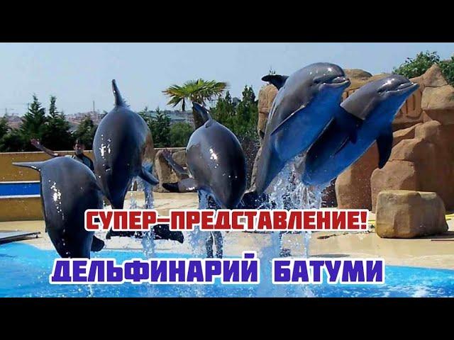 СУПЕР- ШОУ ДЕЛЬФИНОВ! / БАТУМСКИЙ ДЕЛЬФИНАРИЙ / Batumi Dolphinarium/ ВЕЧЕРНЯЯ НАБЕРЕЖНАЯ