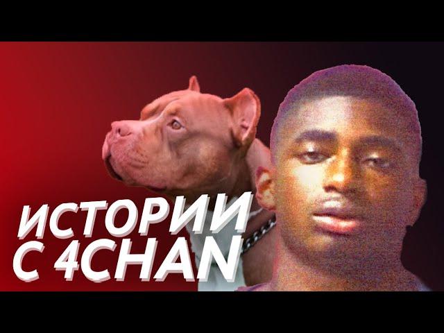 Живодёры и слежка за детьми | Истории с 4chan