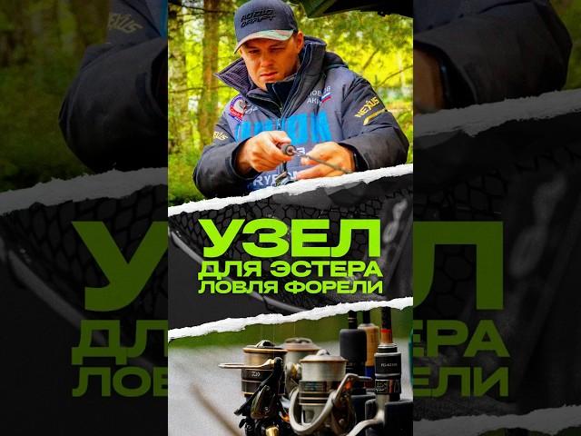 УЗЕЛ ДЛЯ ЭСТЕРА | УЗЛОВЯЗ ОТ DAIICHISEIKO | ЛОВЛЯ ФОРЕЛИ #узел #японскиеснасти #troutarea #jpsnasti