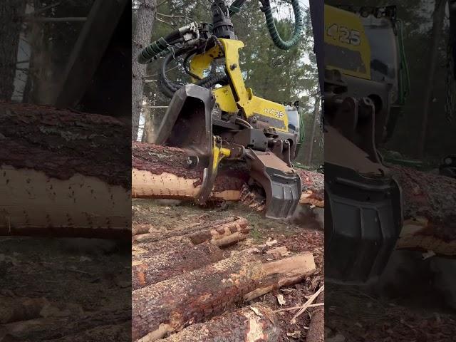 John Deere 1270G in Action:Unstoppable Forestry Power!#lumberjack #forest #johndeere #wood