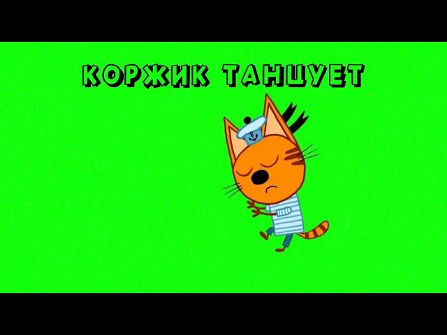 ФУТАЖ ТРИ КОТА   КОРЖИК ТАНЦУЕТ на ЗЕЛЕНОМ ФОНЕ