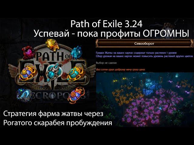 Path of Exile 3.24 | Гайд на Фарм Жатвы через скарабея или как я купил родителям дом у моря за ночь