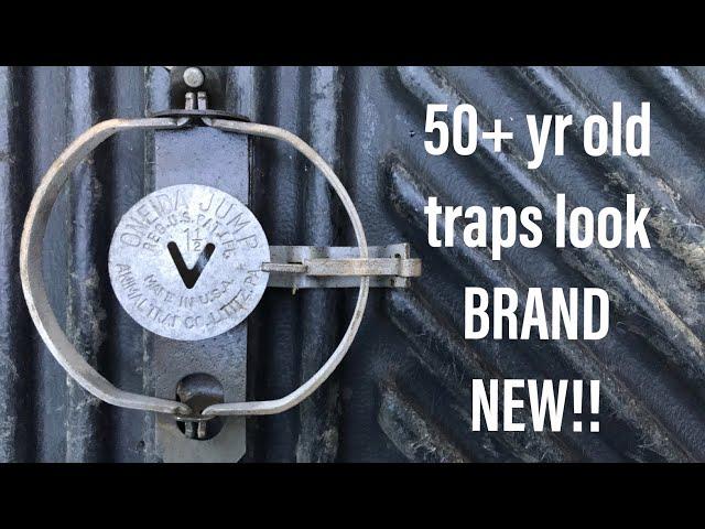 How to Clean Traps! 50+ Year Old Traps That Look BRAND NEW!