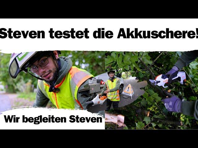 Baumpflege im Mühlenbecker Land  | Stihl ASA 20 im Härtetest! ️