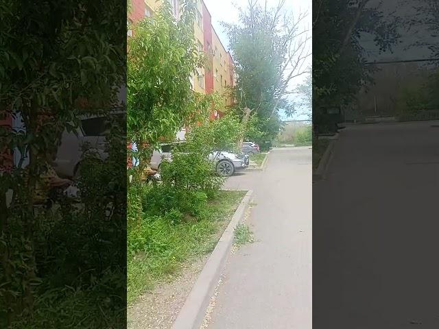Тыңқитып кетті ️