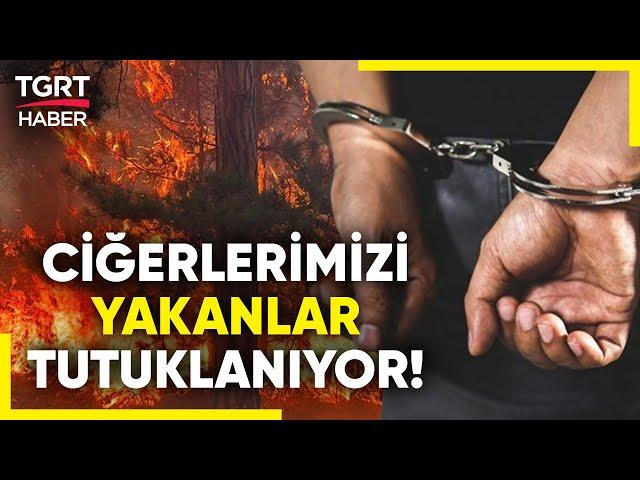 İçişleri Bakanı Açıkladı! Ormanlarımızı Ateşe Verenler Tek Tek Tespit Ediliyor! - TGRT Haber